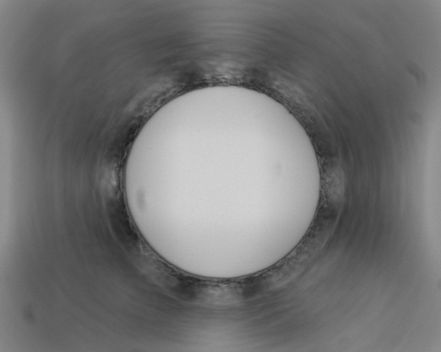 X0000113530709200910161350