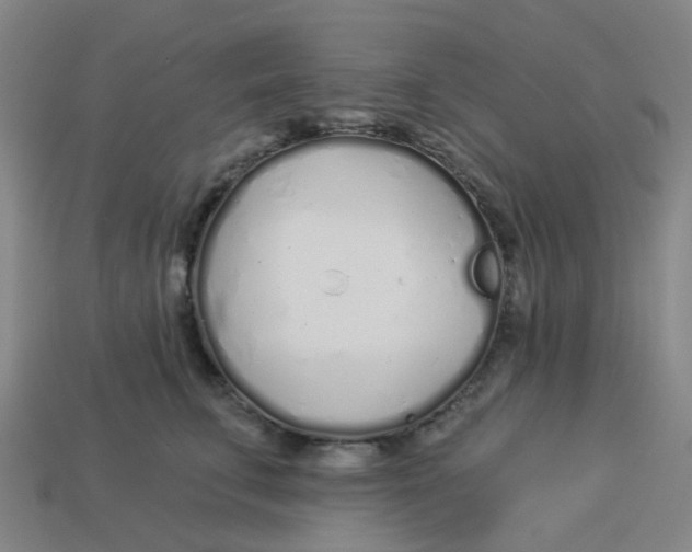 X0000113530711200910161349