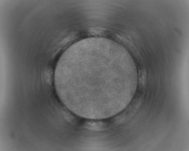 X0000113530712200910161349