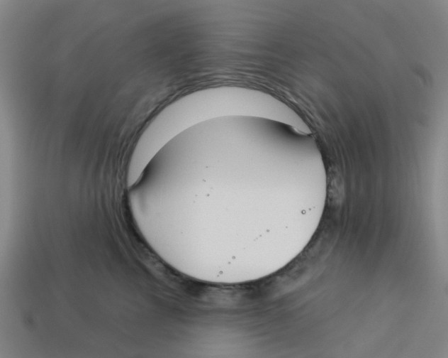 X0000113530713200910161349