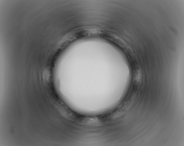 X0000113530715200910161349