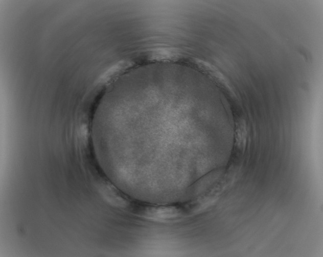 X0000113530716200910161349