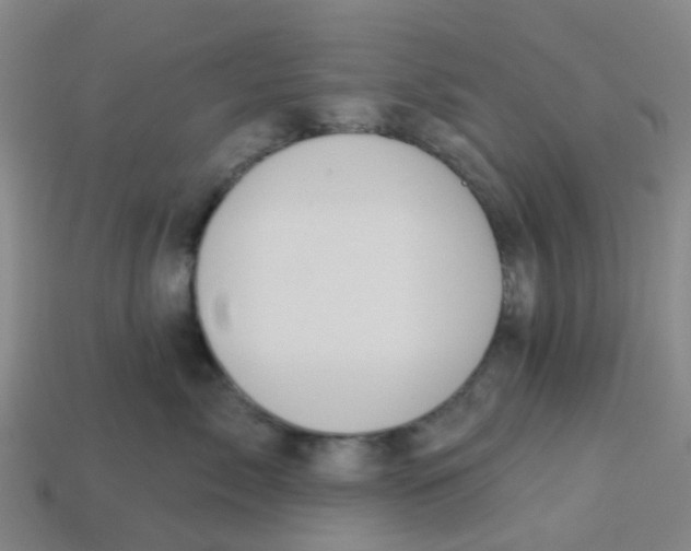 X0000113530717200910161349