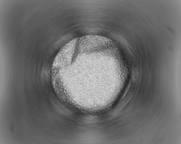 X0000113530718200910161349