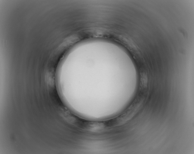 X0000113530719200910161349