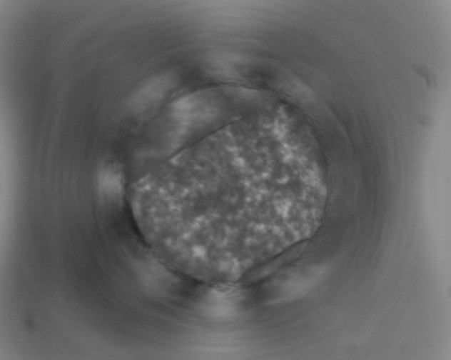 X0000113530720200910161349