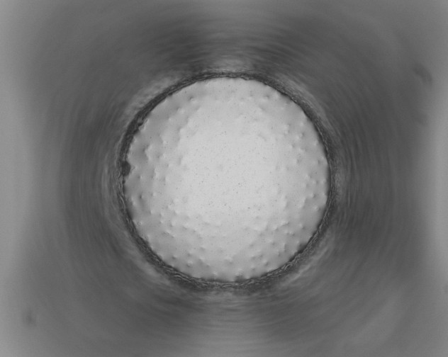 X0000113530721200910161349