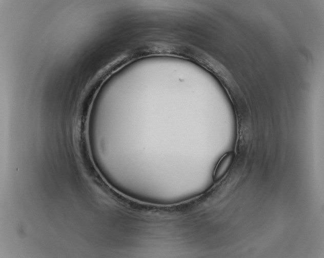 X0000113530722200910161349