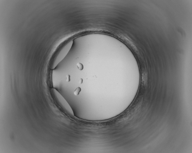 X0000113530724200910161349