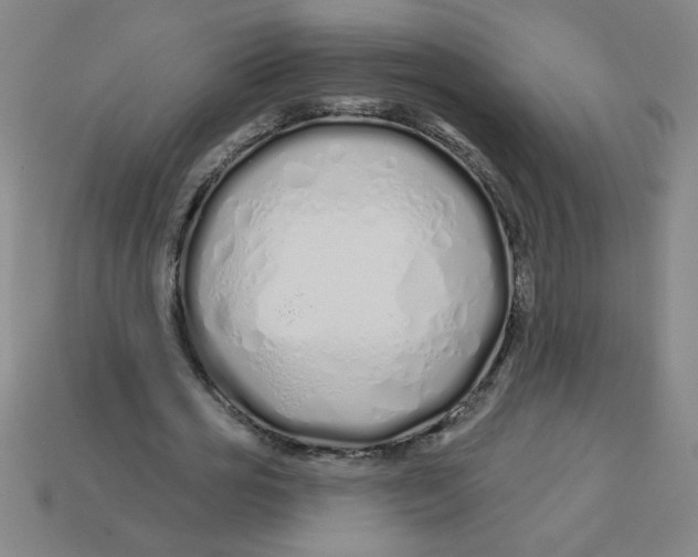 X0000113530725200910161349