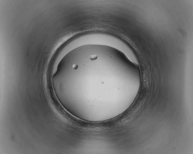 X0000113530726200910161349