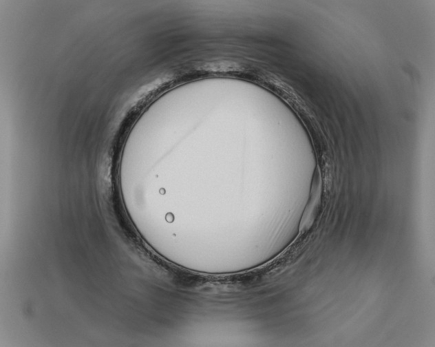 X0000113530727200910161349