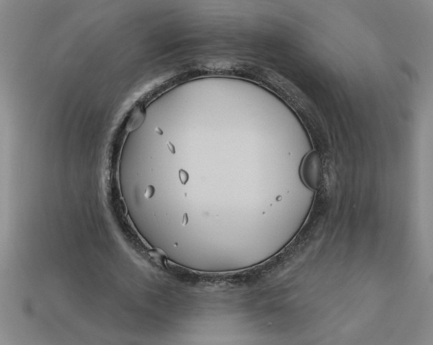 X0000113530728200910161349