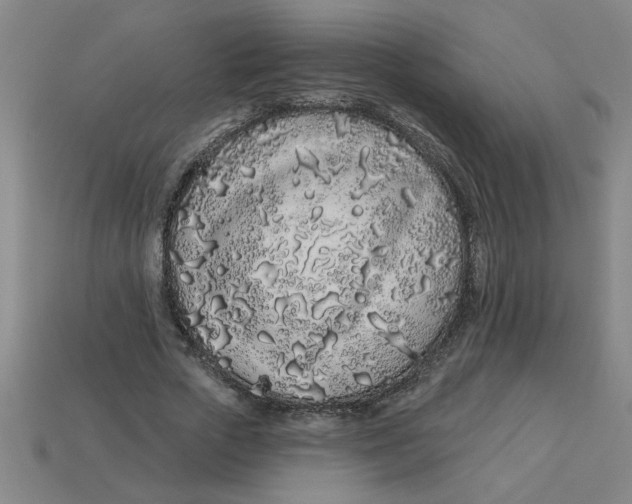 X0000113530729200910161349