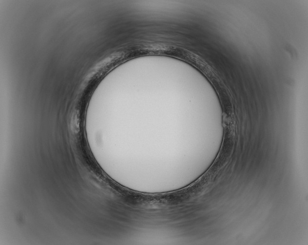 X0000113530731200910161349