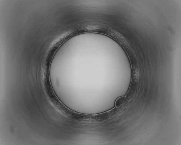 X0000113530732200910161349