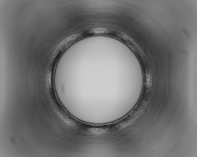 X0000113530733200910161349