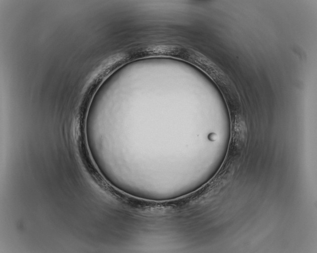 X0000113530734200910161349