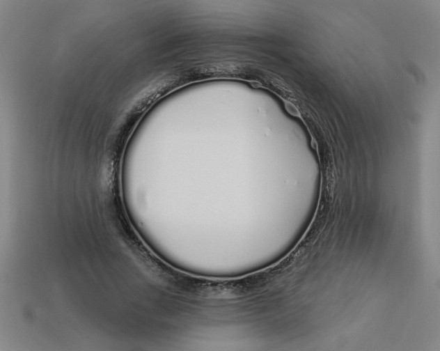 X0000113530735200910161349