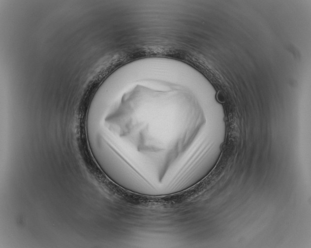 X0000113530738200910161349