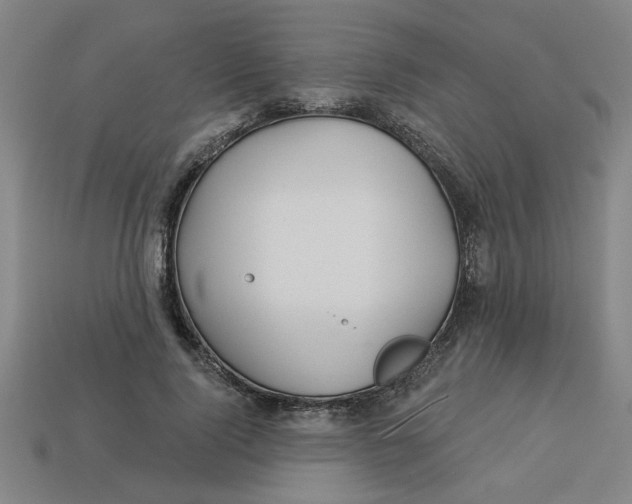 X0000113530740200910161349