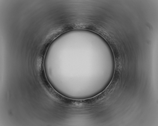 X0000113530742200910161349