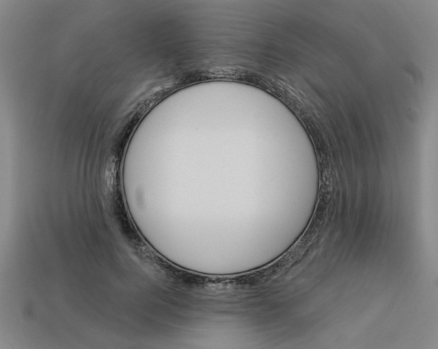 X0000113530744200910161349