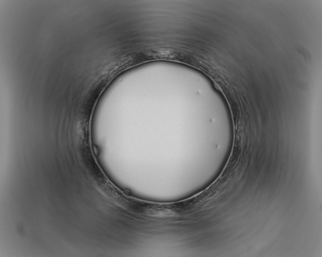 X0000113530747200910161349