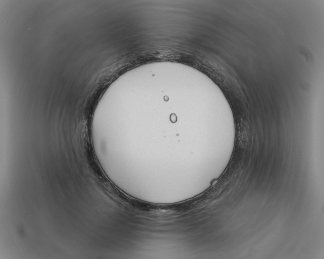 X0000113530748200910161349