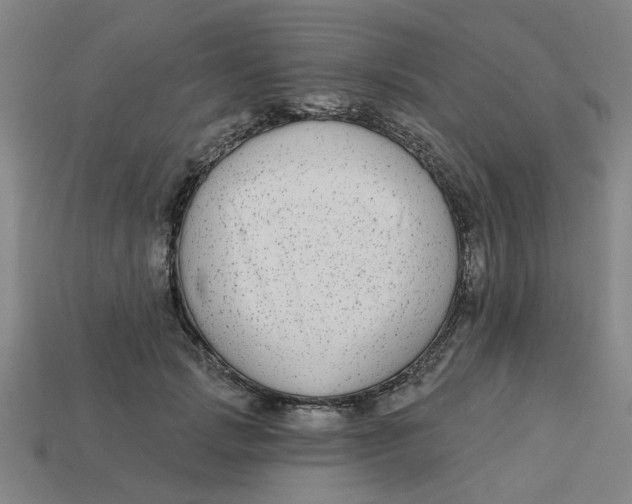 X0000113530749200910161349