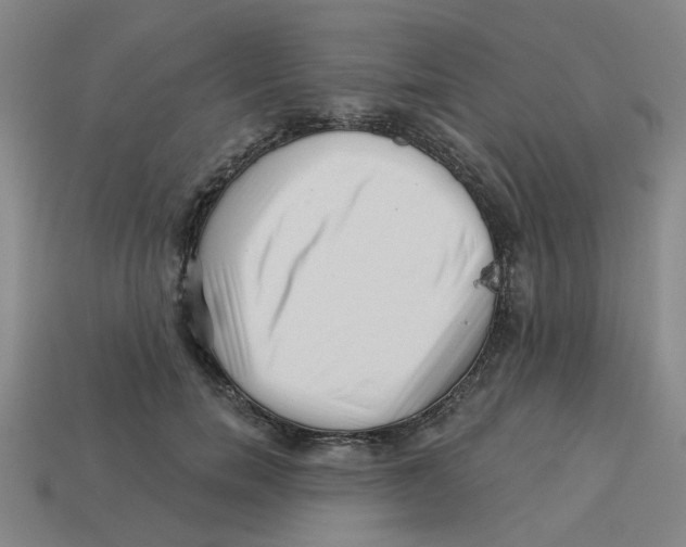 X0000113530750200910161349