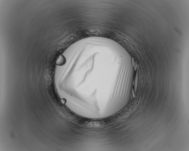 X0000113530751200910161349