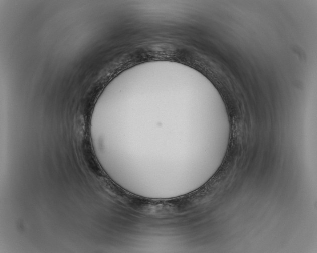 X0000113530752200910161349