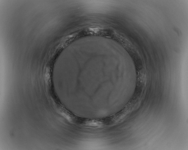 X0000113530754200910161349