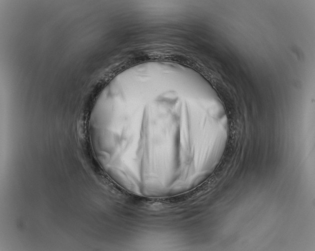 X0000113530755200910161349