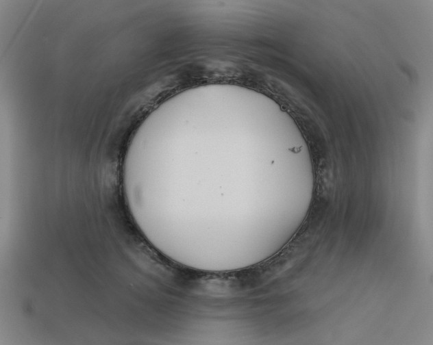 X0000113530756200910161349