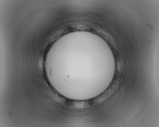 X0000113530757200910161349