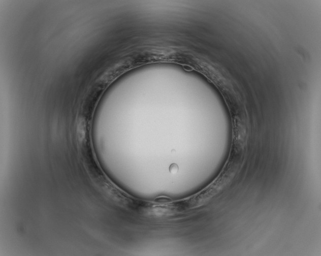 X0000113530758200910161349