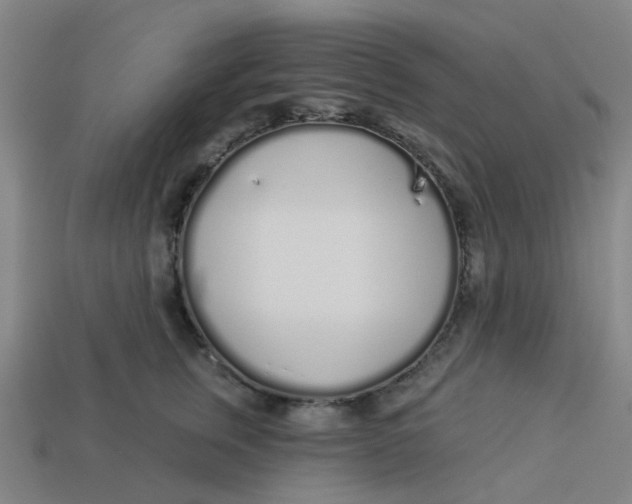 X0000113530759200910161349