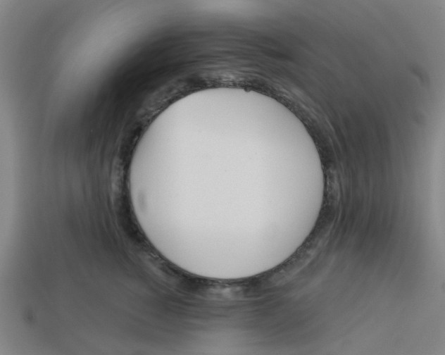 X0000113530760200910161349