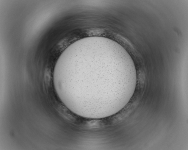 X0000113530761200910161349