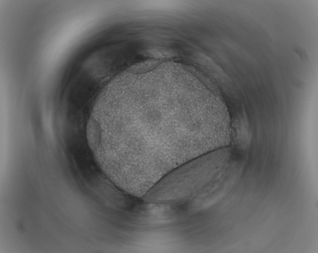 X0000113530762200910161349