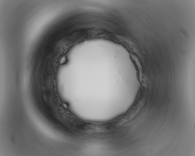 X0000113530763200910161349