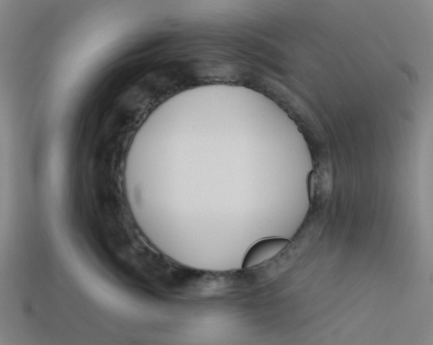 X0000113530764200910161349