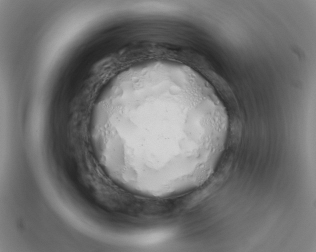 X0000113530765200910161349