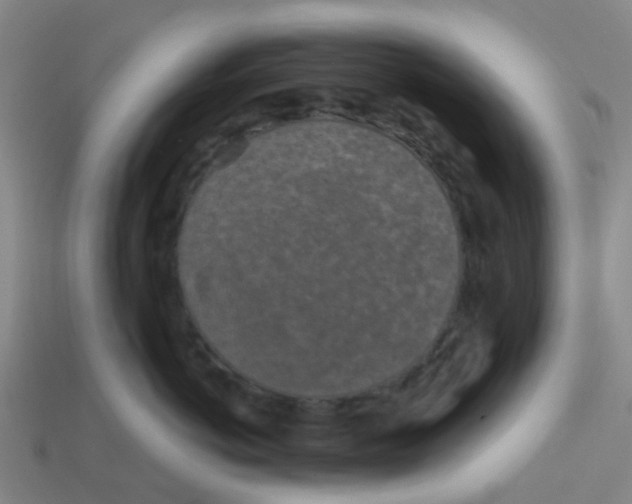 X0000113530766200910161349