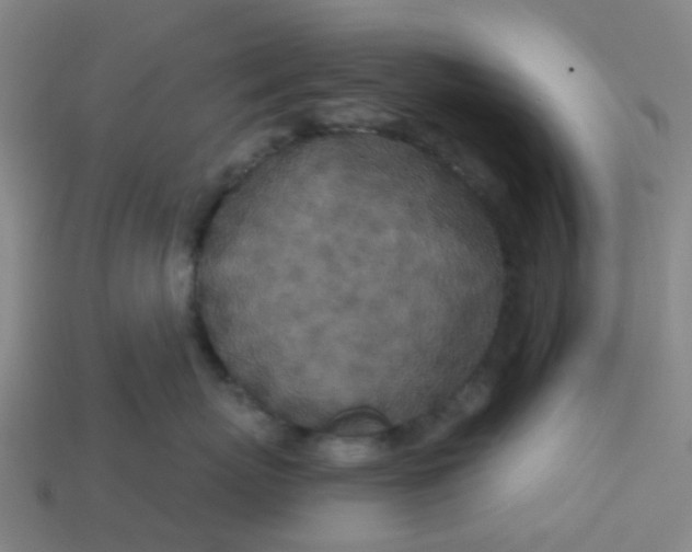 X0000113530767200910161349