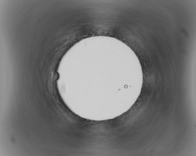 X0000113530769200910161349