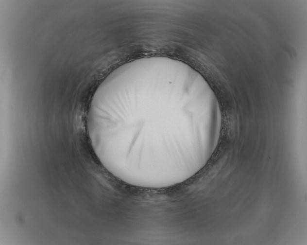 X0000113530770200910161349