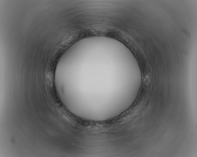 X0000113530772200910161349